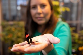 2018DeansReport_SC-396