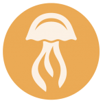 Eco_Evo_JellyFish_Icon