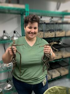 PhD Student Lauren Merlino holding snakes in a lab.